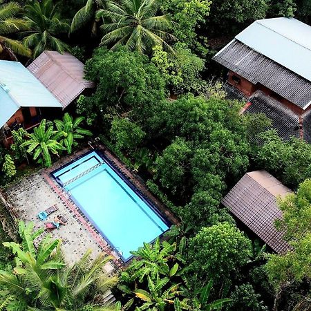 Sun And Green Eco Lodge - Dambulla Kültér fotó