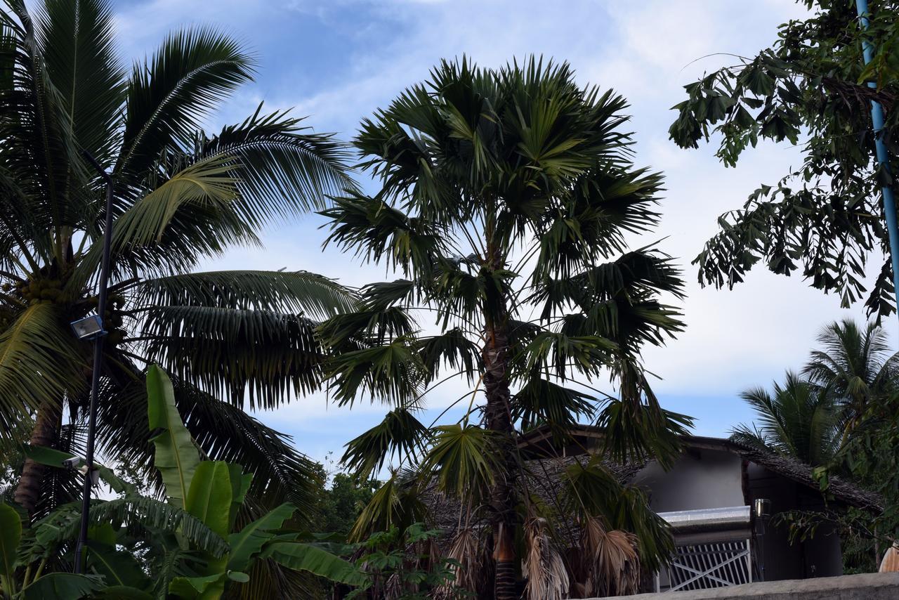 Sun And Green Eco Lodge - Dambulla Kültér fotó