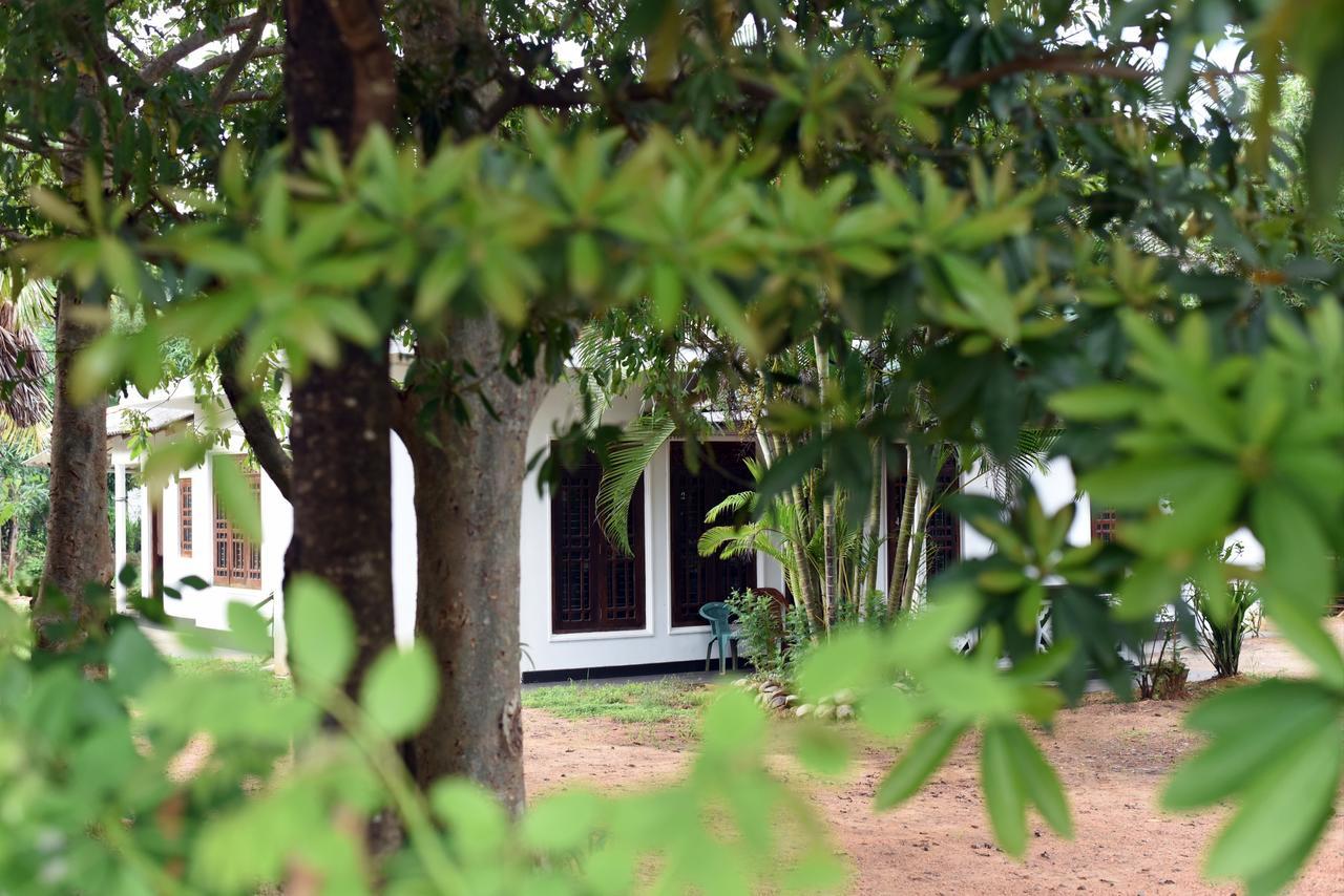 Sun And Green Eco Lodge - Dambulla Kültér fotó