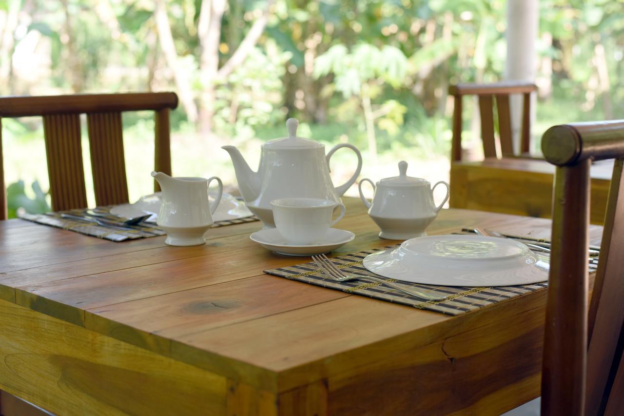 Sun And Green Eco Lodge - Dambulla Kültér fotó