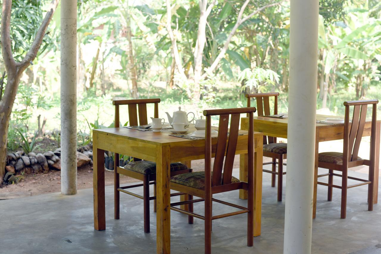 Sun And Green Eco Lodge - Dambulla Kültér fotó