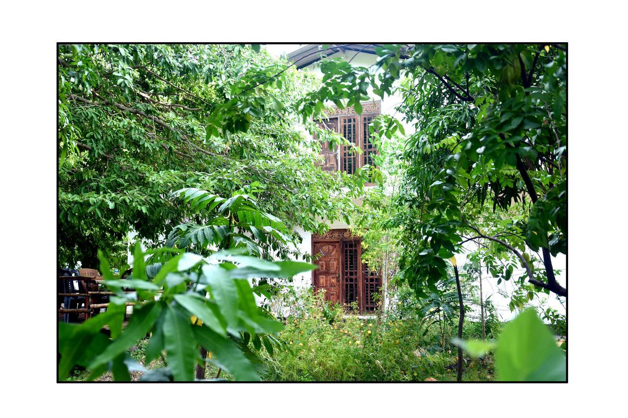 Sun And Green Eco Lodge - Dambulla Kültér fotó
