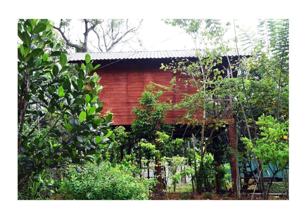 Sun And Green Eco Lodge - Dambulla Kültér fotó