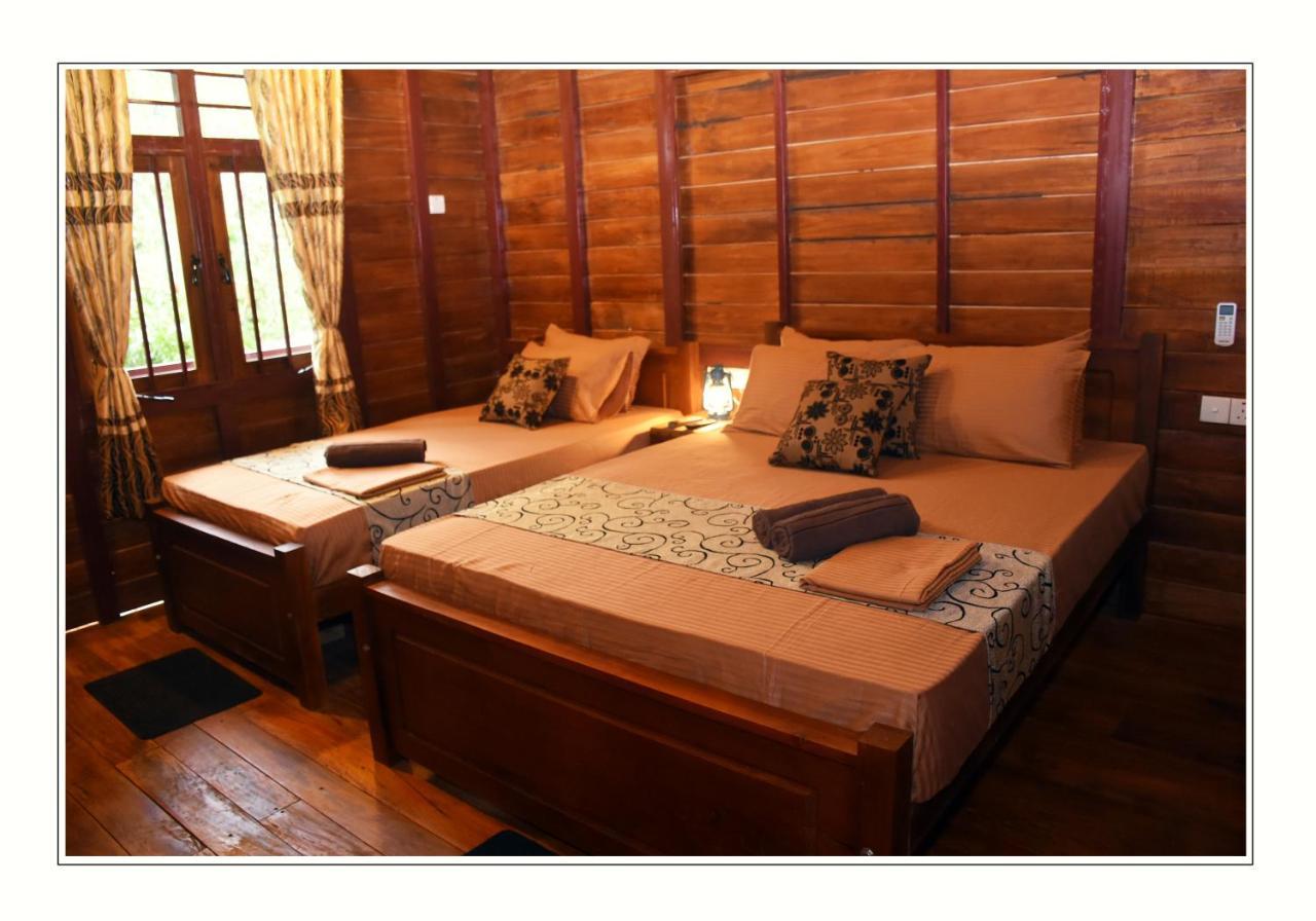 Sun And Green Eco Lodge - Dambulla Kültér fotó