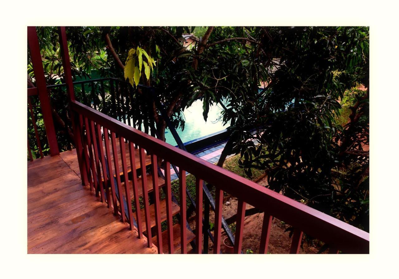 Sun And Green Eco Lodge - Dambulla Kültér fotó