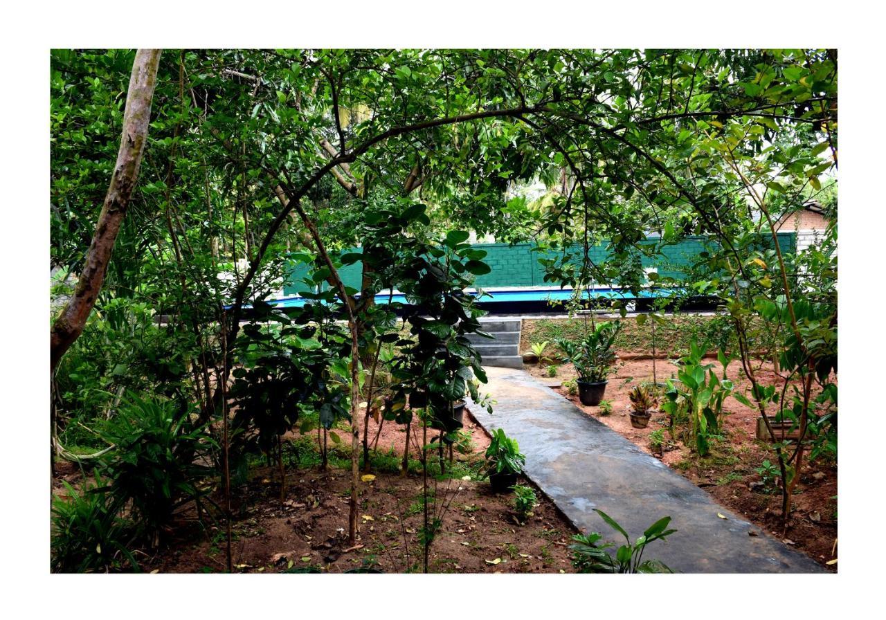 Sun And Green Eco Lodge - Dambulla Kültér fotó