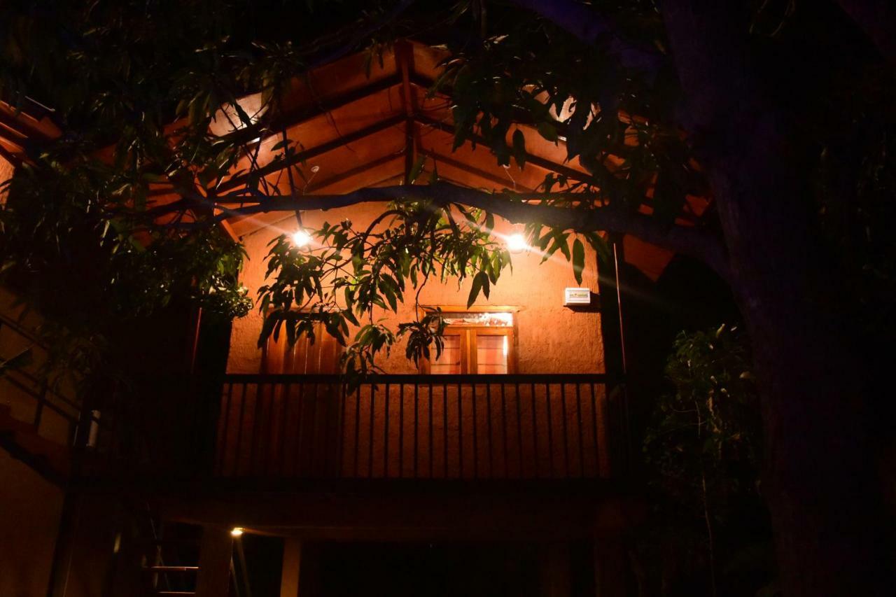 Sun And Green Eco Lodge - Dambulla Kültér fotó
