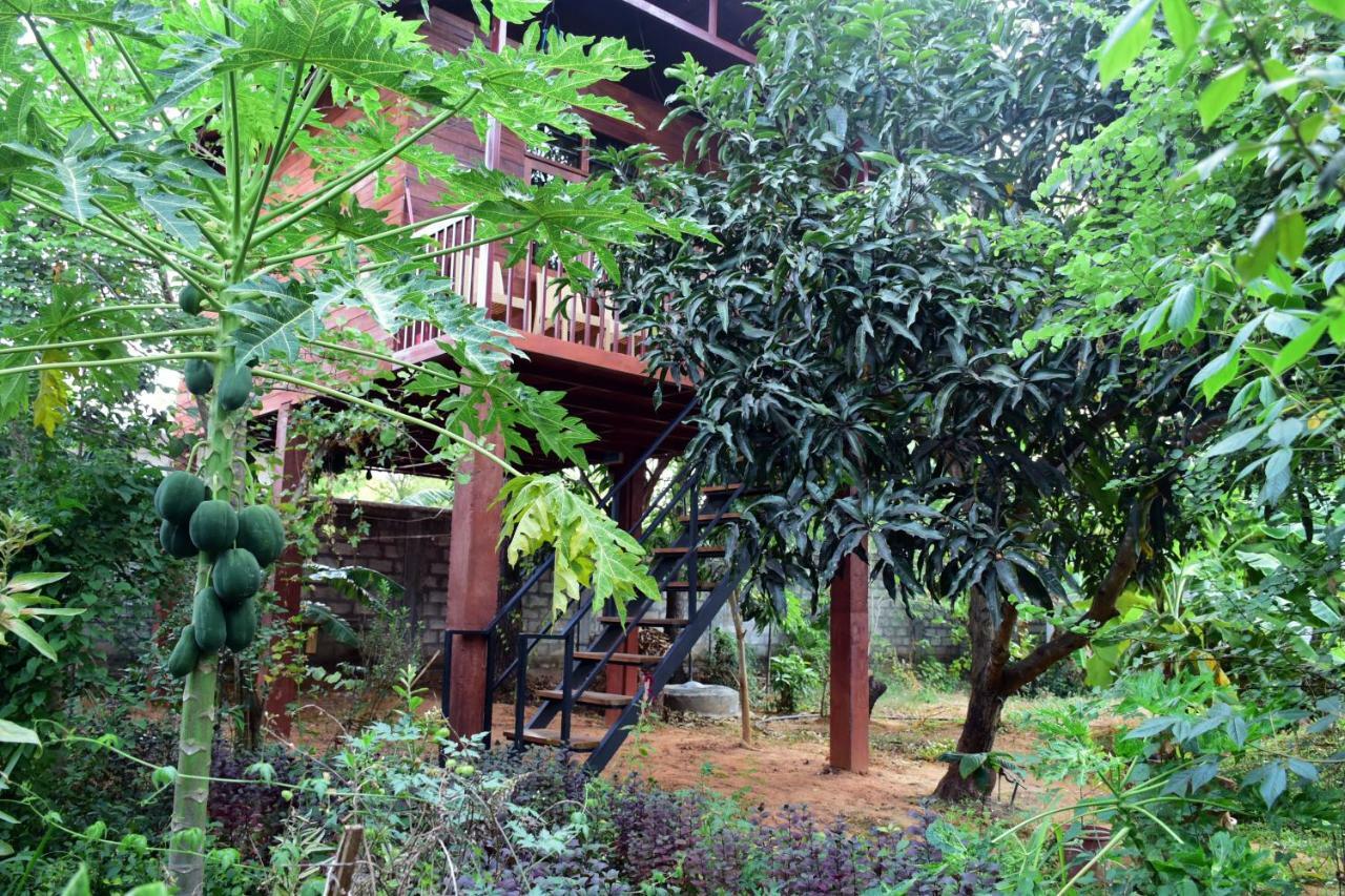 Sun And Green Eco Lodge - Dambulla Kültér fotó