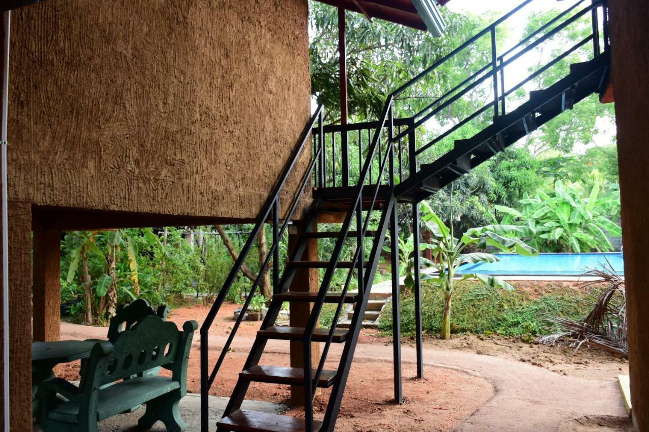 Sun And Green Eco Lodge - Dambulla Kültér fotó